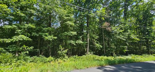 Lot 23.23 Perry Pond Rd, Narrowsburg, NY, 12764 | Card Image