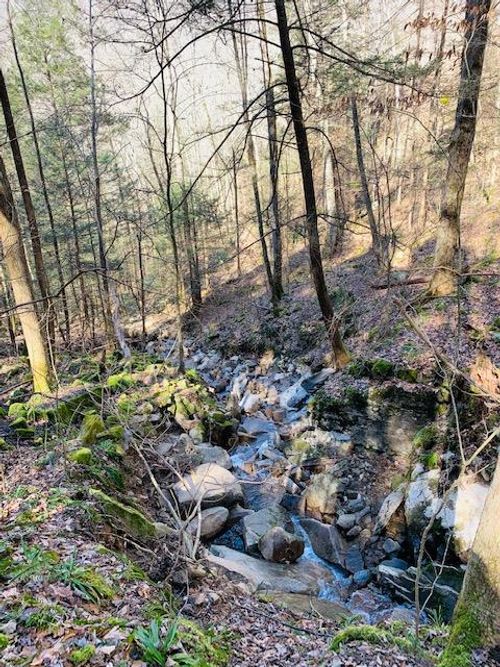 Lot 165 Bluff Ln, Wilder, TN, 38589 | Card Image