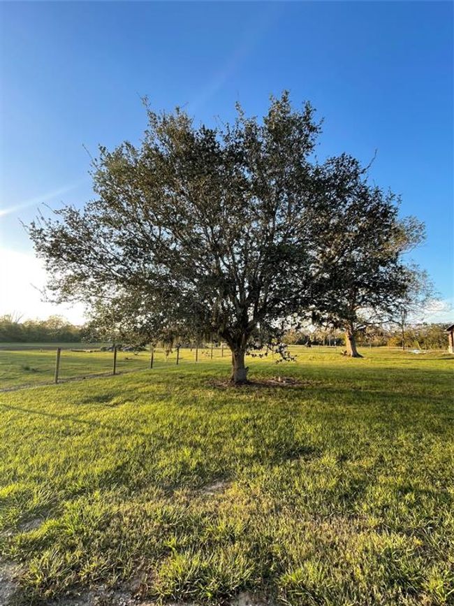 3295 Fm 524 Rd, House other with 3 bedrooms, 3 bathrooms and 2 parking in Sweeny TX | Image 13