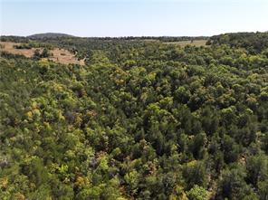 Land in Lead Hill 2