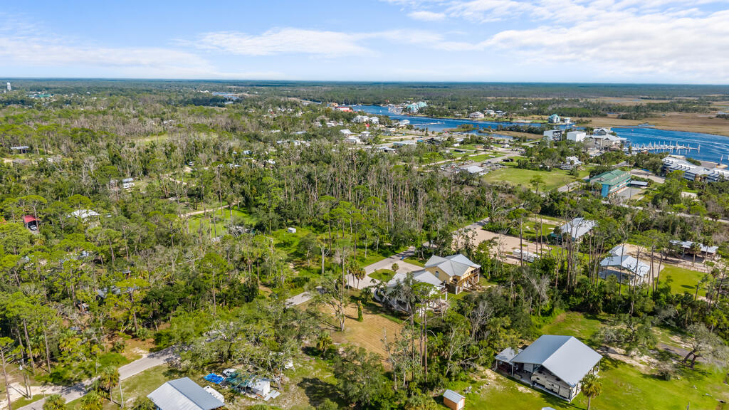 Land in Steinhatchee 5
