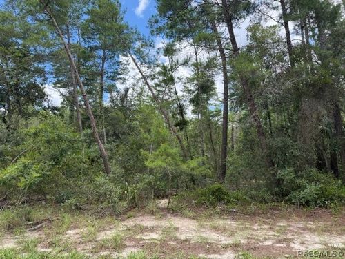 13, 15, & 16 Petunias Court, Homosassa, FL, 34446 | Card Image