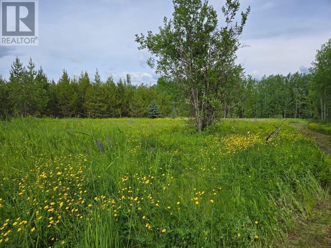 6770 Parsnip Rd, House other with 4 bedrooms, 1 bathrooms and null parking in Prince George BC | Image 37
