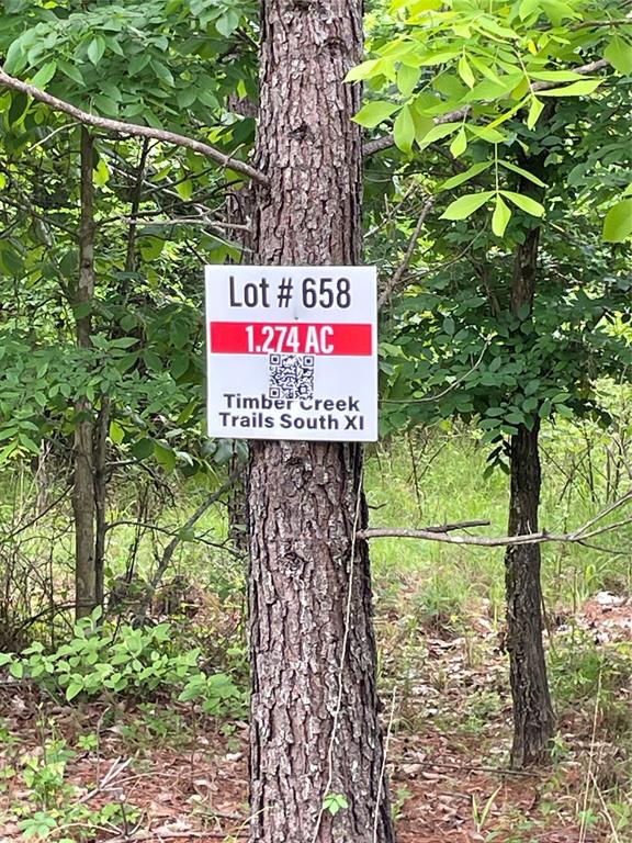 Land in Broken Bow 3