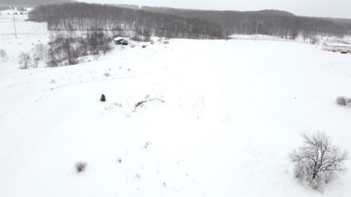 Parcel D Floreys Ranch Road, Grant Township, MI, 49620 | Card Image