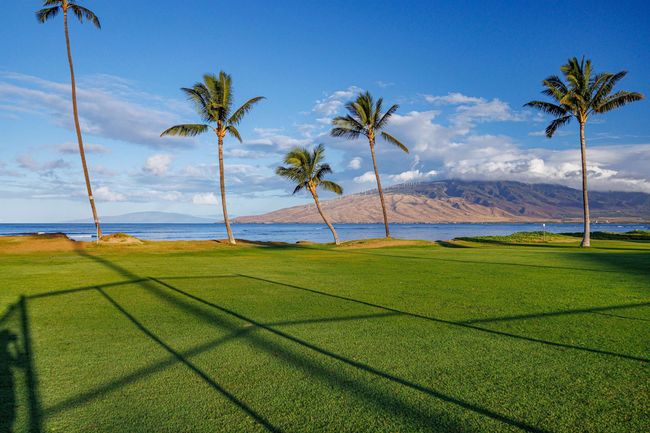 APT-533 - 938 S Kihei Rd, Condo with 2 bedrooms, 2 bathrooms and null parking in Kihei HI | Image 23
