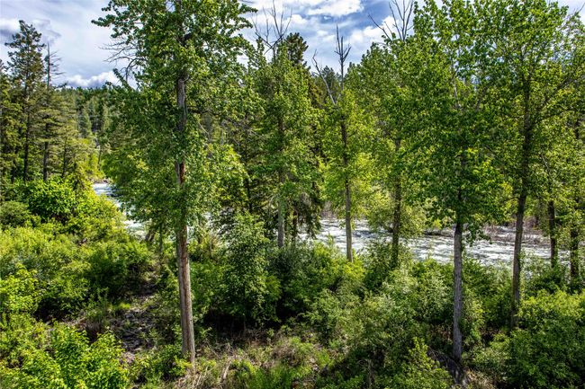 Swan River with frequent wildlife viewings from fist floor, patio and primary bedroom | Image 12