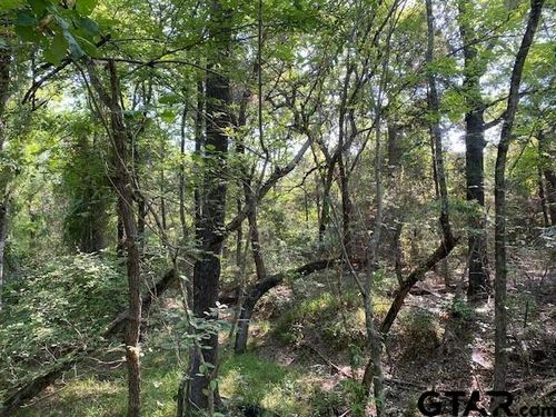 TR 3-B Cr 41514, Athens, TX, 75751 | Card Image