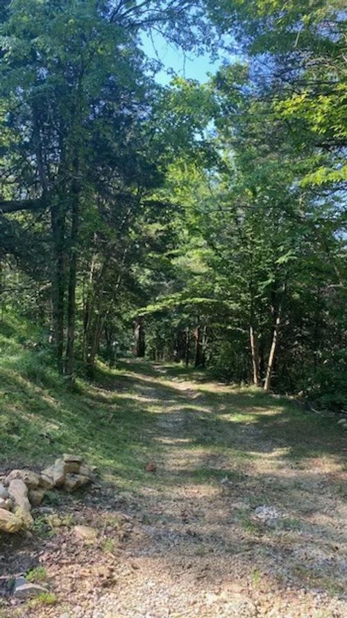 119 Saint Marys Rd, Chestnut Mound, TN, 38552-2021 | Card Image