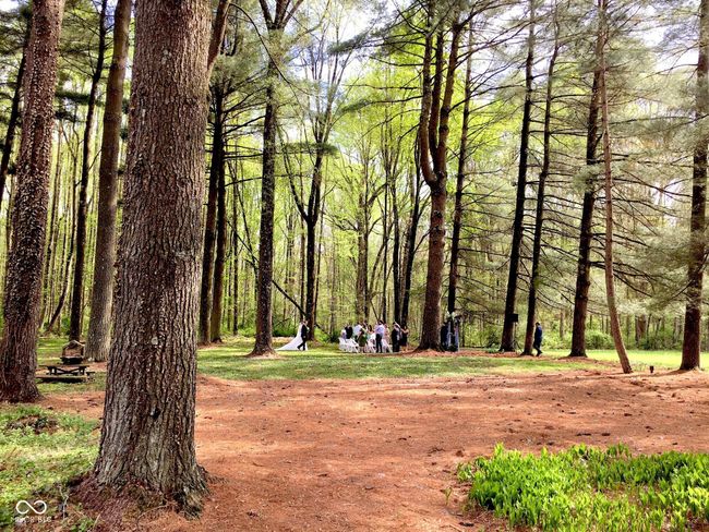 Outdoor Wedding | Image 39