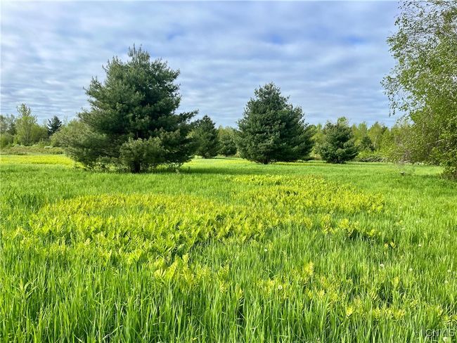 37224 County Route 4, Home with 0 bedrooms, 0 bathrooms and null parking in Clayton NY | Image 17