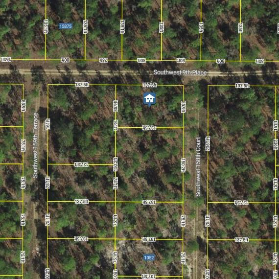 Land in Ocala 5