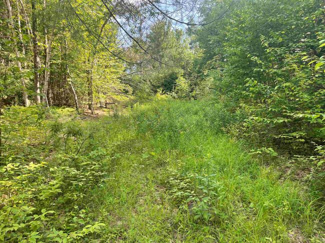63 New Boston Rd, Home with 0 bedrooms, 0 bathrooms and null parking in Francestown NH | Image 7