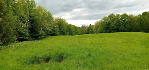 656 Lower Elmore Mountain Rd, Morristown, VT, 05661-9190 | Card Image