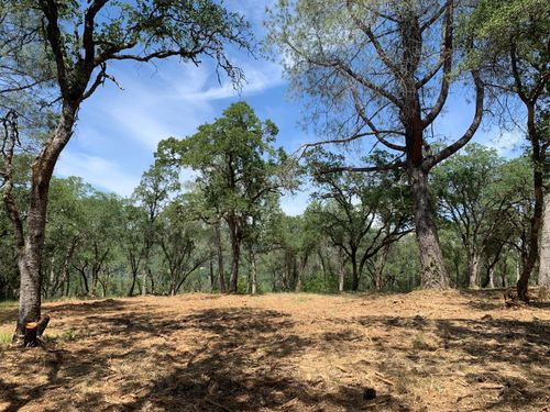 555 Jurgens Road, Rescue, CA, 95672 | Card Image