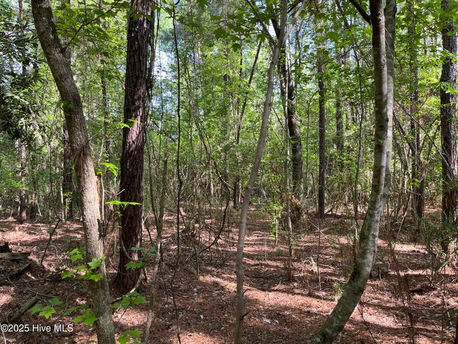 195 Pecan Ln, Home with 0 bedrooms, 0 bathrooms and null parking in Lake Waccamaw NC | Image 6