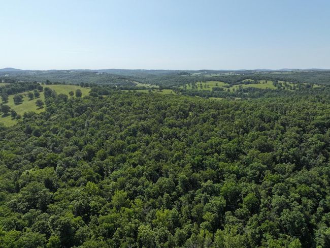 dji_fly_20250620_103532_0035_17504330779 | Image 13