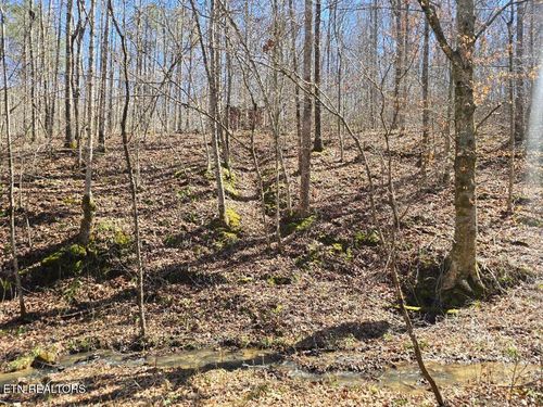 0 Straight Fork Rd, Huntsville, TN, 37756 | Card Image