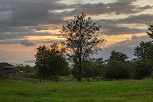 unit-b-11 Huliamahi Pl, Makawao, HI, 96768 | Card Image