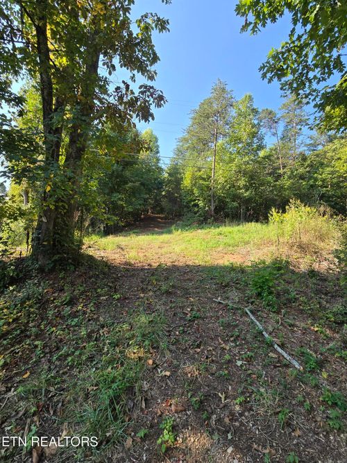 173 Akins Rd, Tellico Plains, TN, 37385-5624 | Card Image