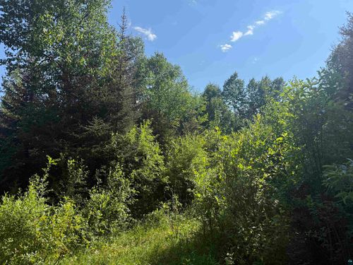 XXB Rocky Top Trl, Hovland, MN, 55606 | Card Image