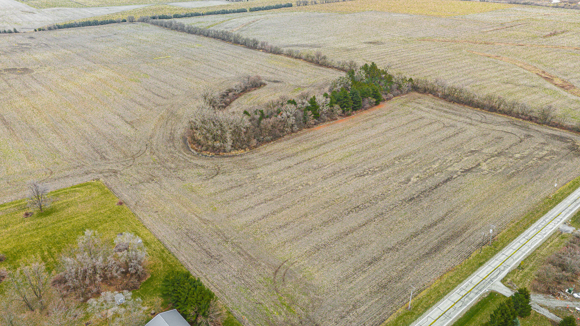 Farm in Monee 4