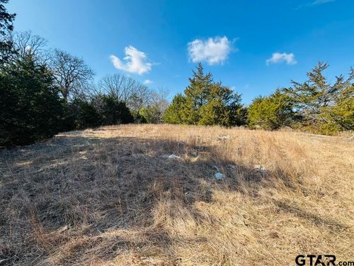 230 Rs County Road 4252, Point, TX, 75472-5582 | Card Image