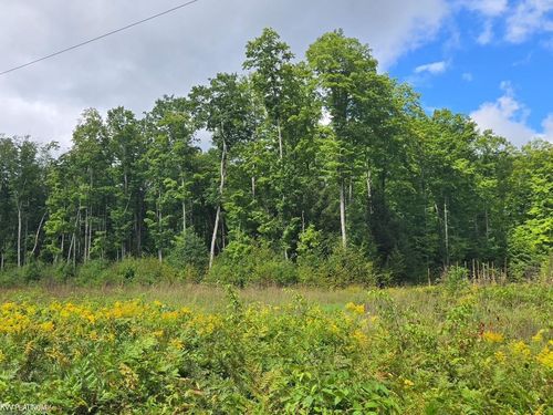 1216 Bundy Rd, Mancelona, MI, 49659-7855 | Card Image