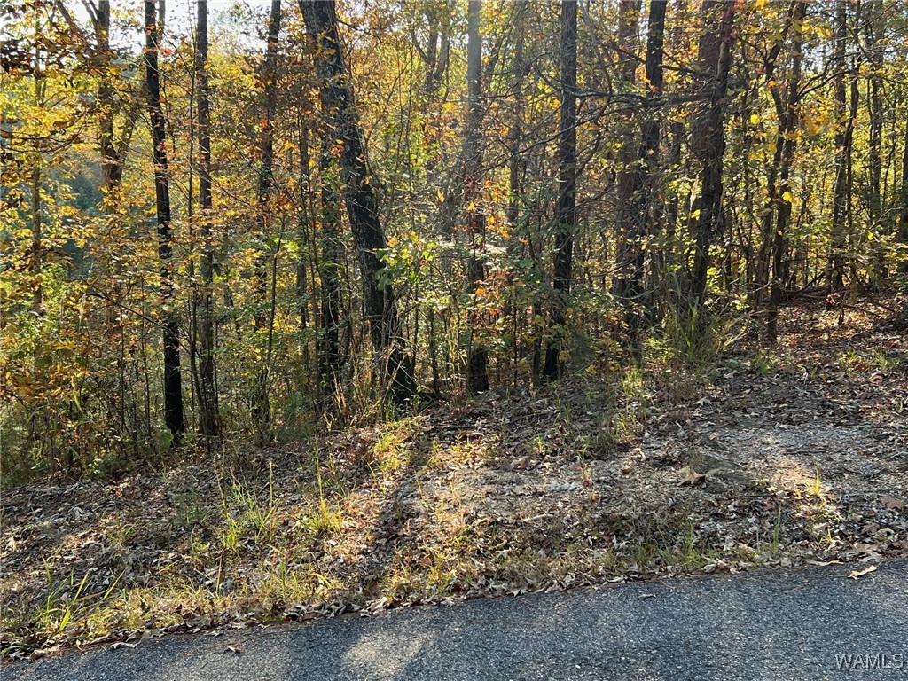Land in McCalla 2