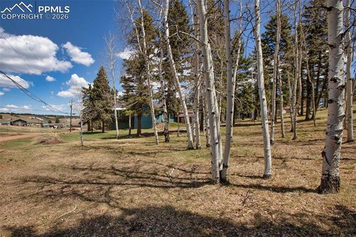 571 Will Scarlet Dr, Divide, CO, 80814-9450 | Card Image