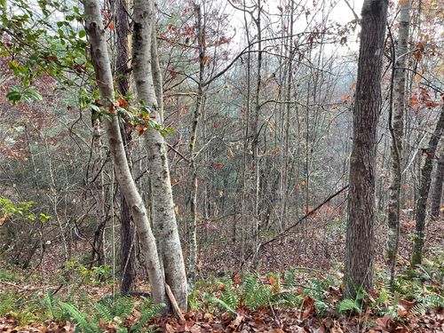 43 S Kimiko Ln, Balsam Grove, NC, 28708-9646 | Card Image