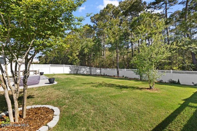 323 Lightning Bug Ln, House other with 3 bedrooms, 3 bathrooms and 2 parking in Holly Ridge NC | Image 55