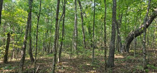 266 Cove Hill Rd, Pikeville, TN, 37367-7214 | Card Image