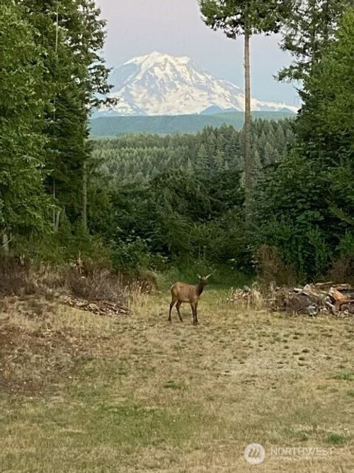 17012 226th Ave E, Orting, WA, 98360 | Card Image