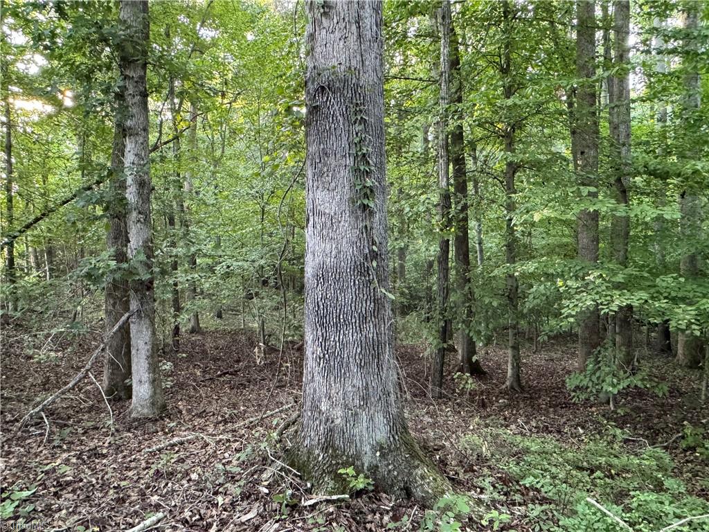 Land in Reidsville 5