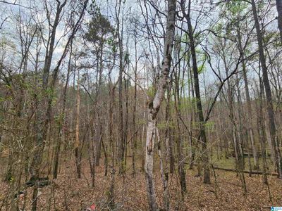 1 - 0000 County Road 141, Home with 0 bedrooms, 0 bathrooms and null parking in Goodwater AL | Image 3