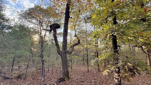 30000 Hummingbird Ln, Cookson, OK, 74427 | Card Image