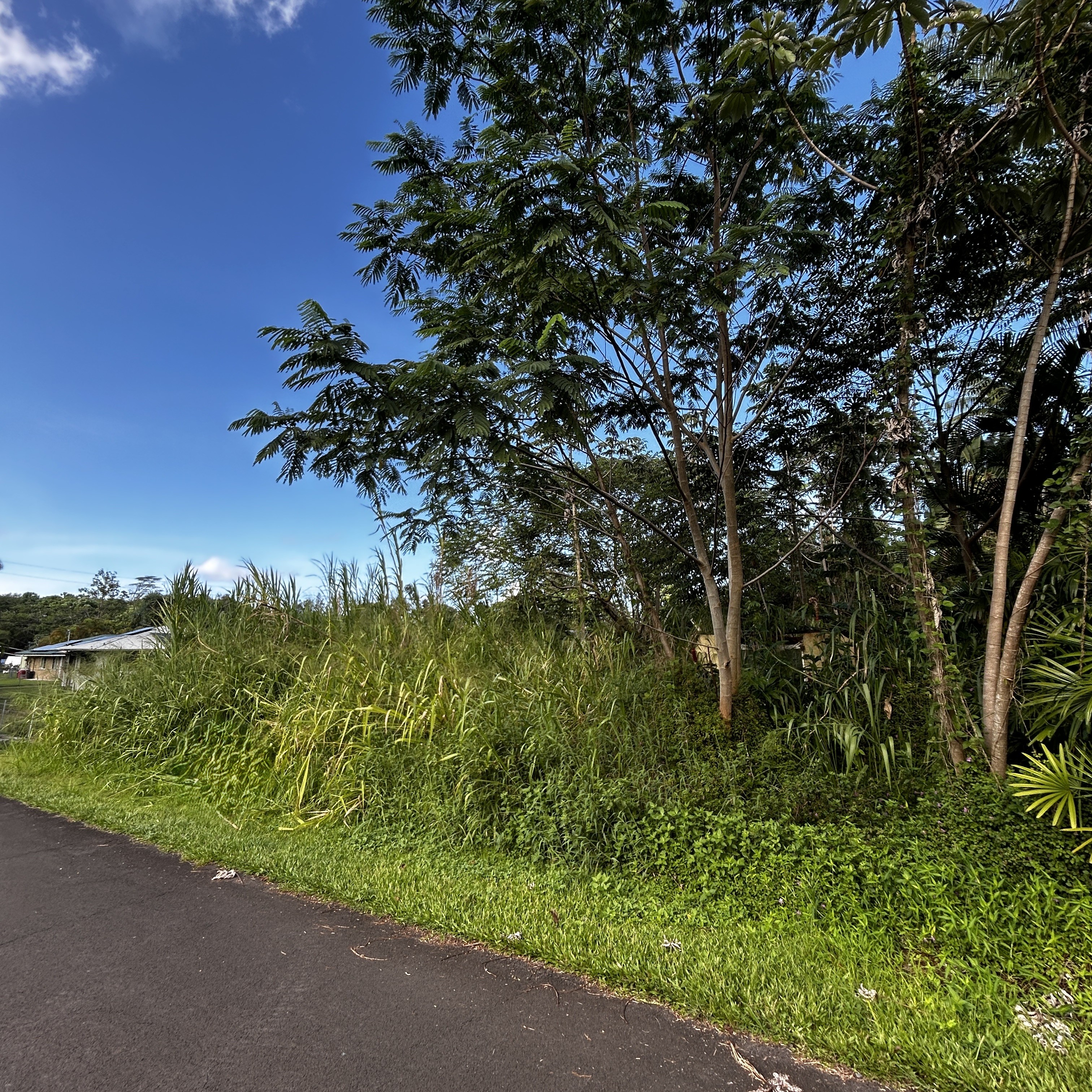 Land in Pahoa 4