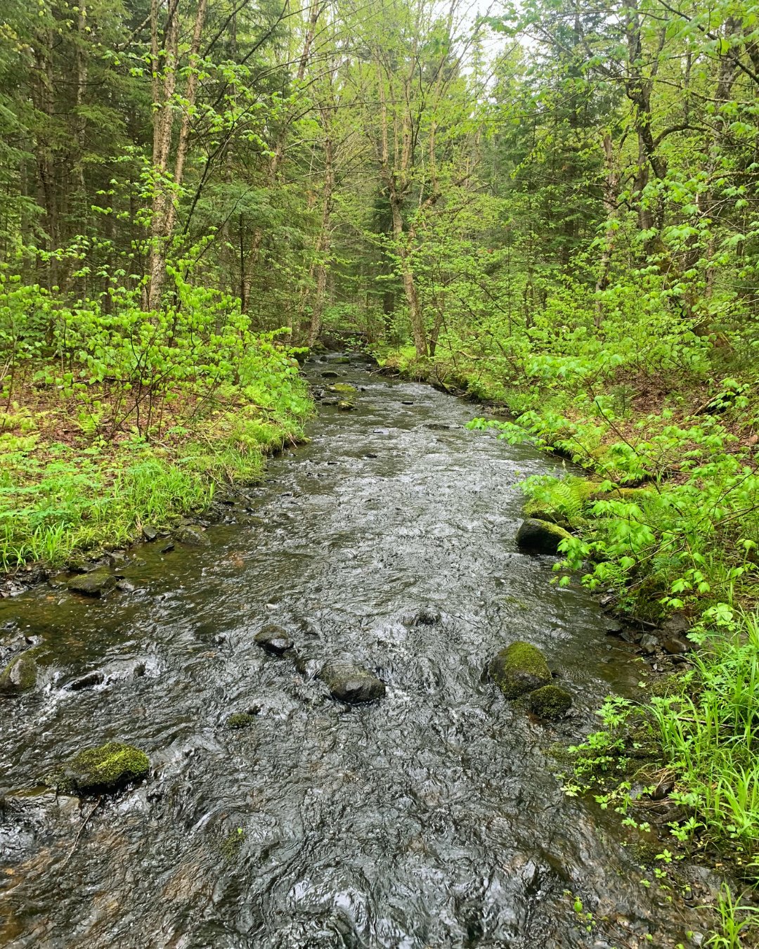Land in Notre-Dame-des-Bois