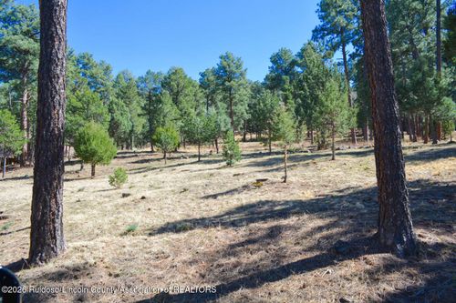 2-Lot 26 Midiron Rd, Alto, NM, 88312 | Card Image