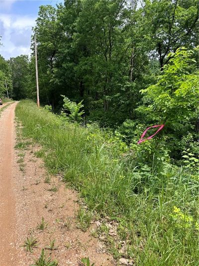 Pink ribbons mark aprox frontage on Cove Ln | Image 1