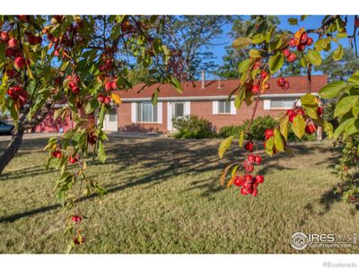 Trees line the front of this all brick, no maintenance home. | Image 2