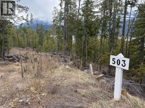 503 Riondel Rd, Riondel, BC, V0B2B0 | Card Image