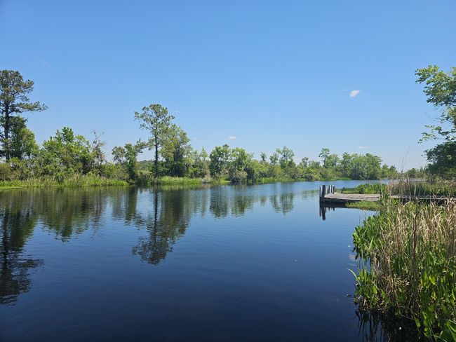 DJI_20240424_134708_76 | Image 92