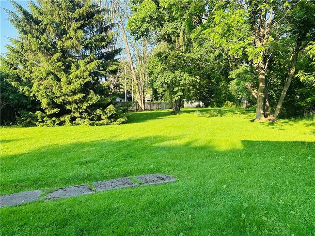View looking into the back yard | Image 31
