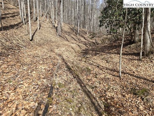 TBD (Lots 42 & 43) Happy Ridge Road, Piney Creek, NC, 28663 | Card Image