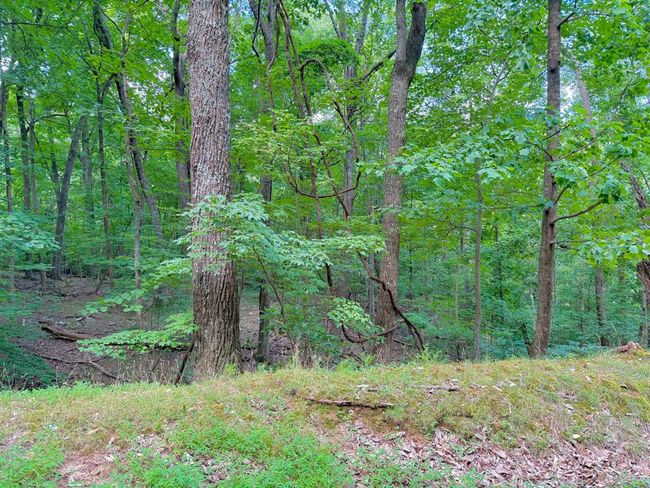 3238 Coffey Cove Dr, Home with 0 bedrooms, 0 bathrooms and null parking in Jasper GA | Image 4