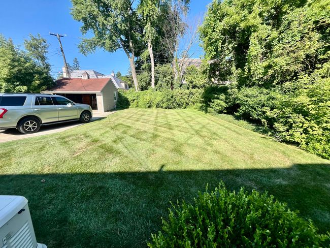 Back yard | Image 38