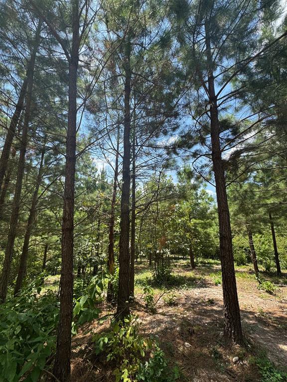 Land in Broken Bow 3