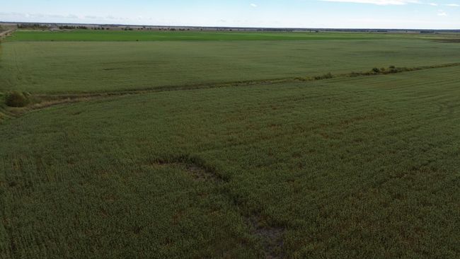 DJI_0021.JPG | Image 13